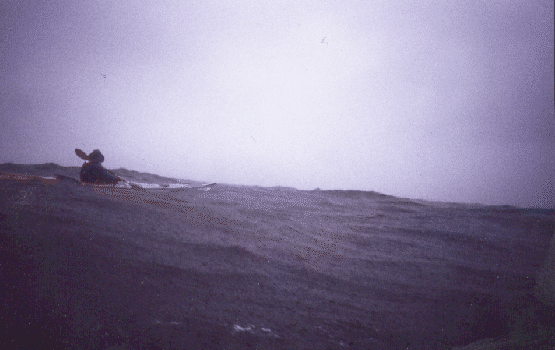 \includegraphics[width=\linewidth]{images/Regen1.ps}