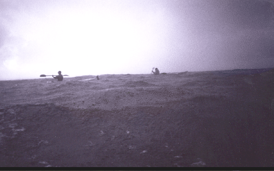 \includegraphics[width=\linewidth]{images/Regen2.ps}