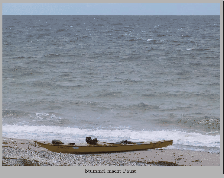 \fbox{\begin{minipage}{\imgwidth}
\includegraphics[width=\imgwidth]{images/Stummel.ps}
\centering{Stummel macht Pause.}
\end{minipage} }%end fbox