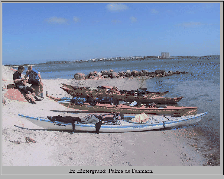 \fbox{\begin{minipage}{\imgwidth}
\includegraphics[width=\imgwidth]{images/Damp2000.ps}
\centering{Im Hintergrund: Palma de Fehmarn.}
\end{minipage} }%end fbox