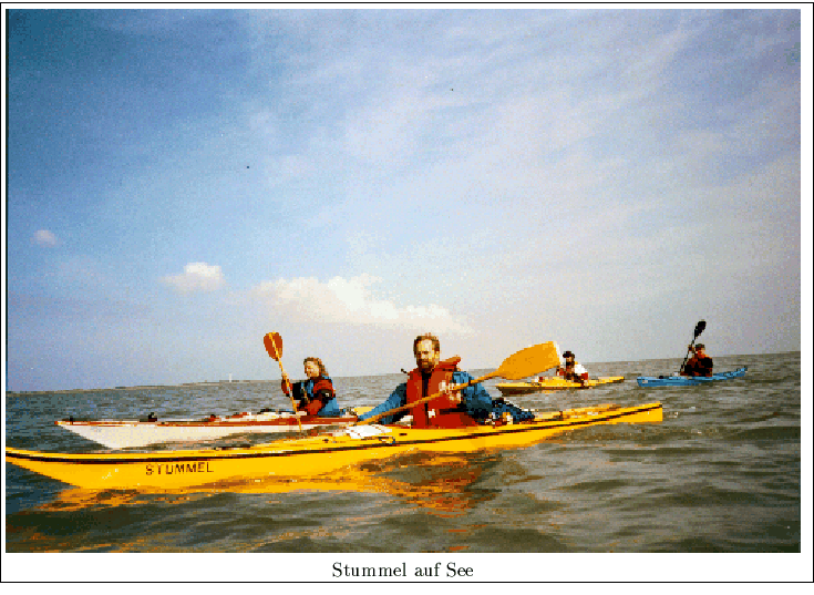 \fbox {\begin{minipage}{\linewidth}
\includegraphics[width=\linewidth]{images/Stummel01.ps}
\centering{Stummel auf See} \end{minipage} }%end fbox