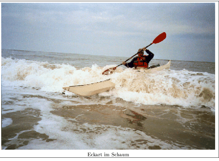 \fbox {\begin{minipage}{\linewidth}
\includegraphics[width=\linewidth]{images/EckartImSchaum.ps}
\centering{Eckart im Schaum} \end{minipage} }%end fbox